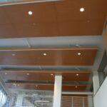 SFSU Library