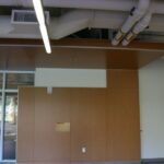SFSU Library