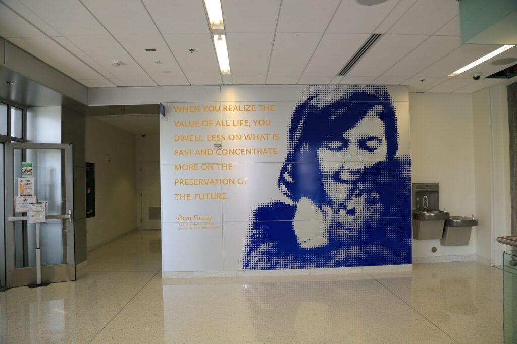 SJSU Library 